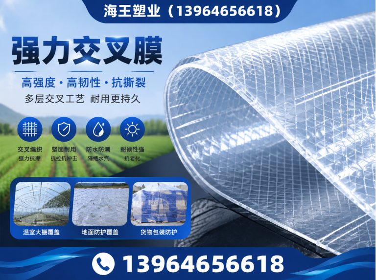 临朐县聚酯胎展示图